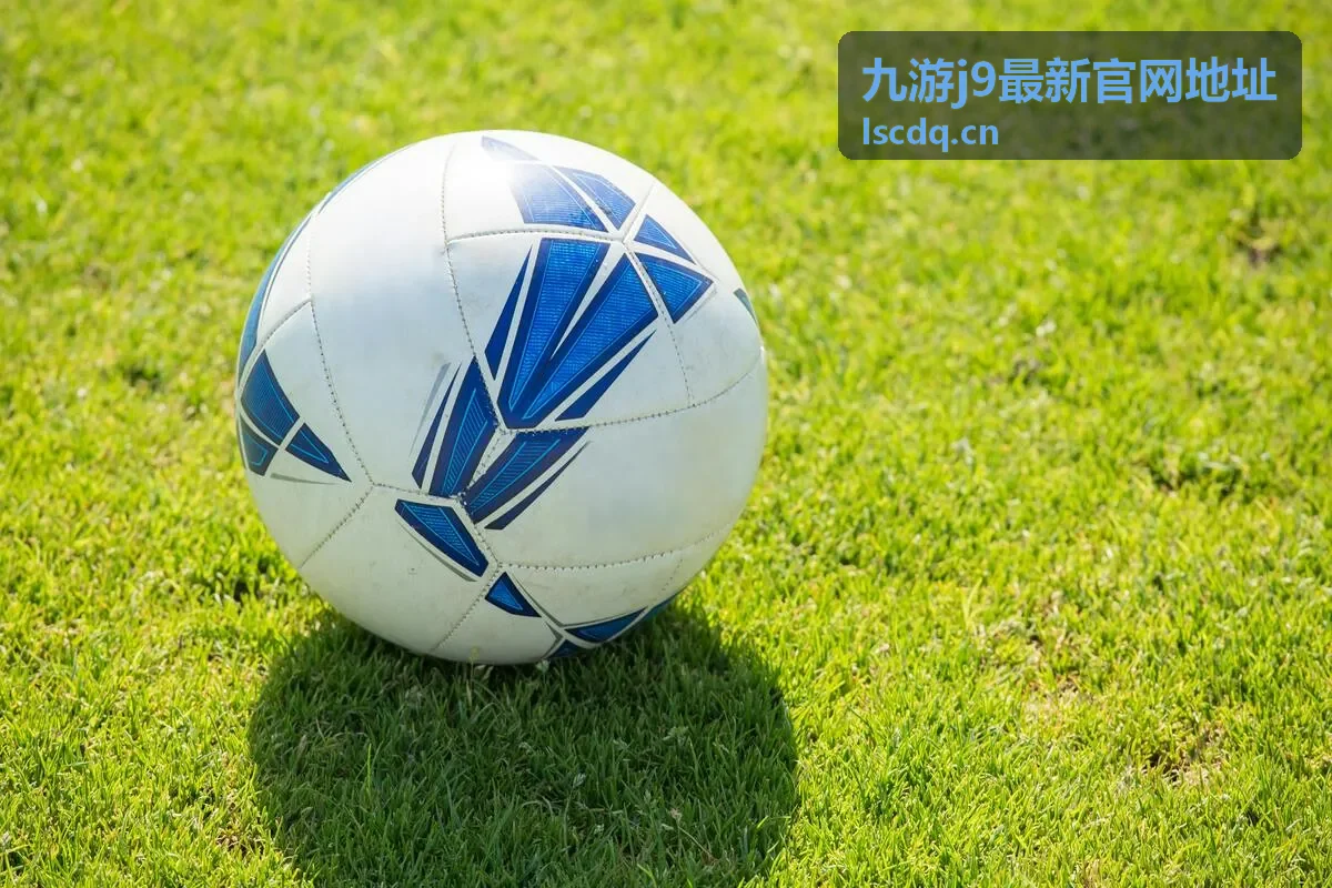 九游j9最新官网地址手机端入口示意